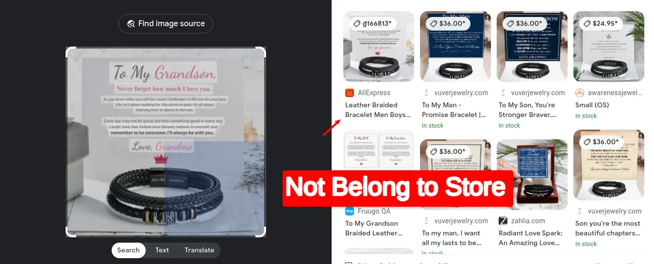 Google Lens Image