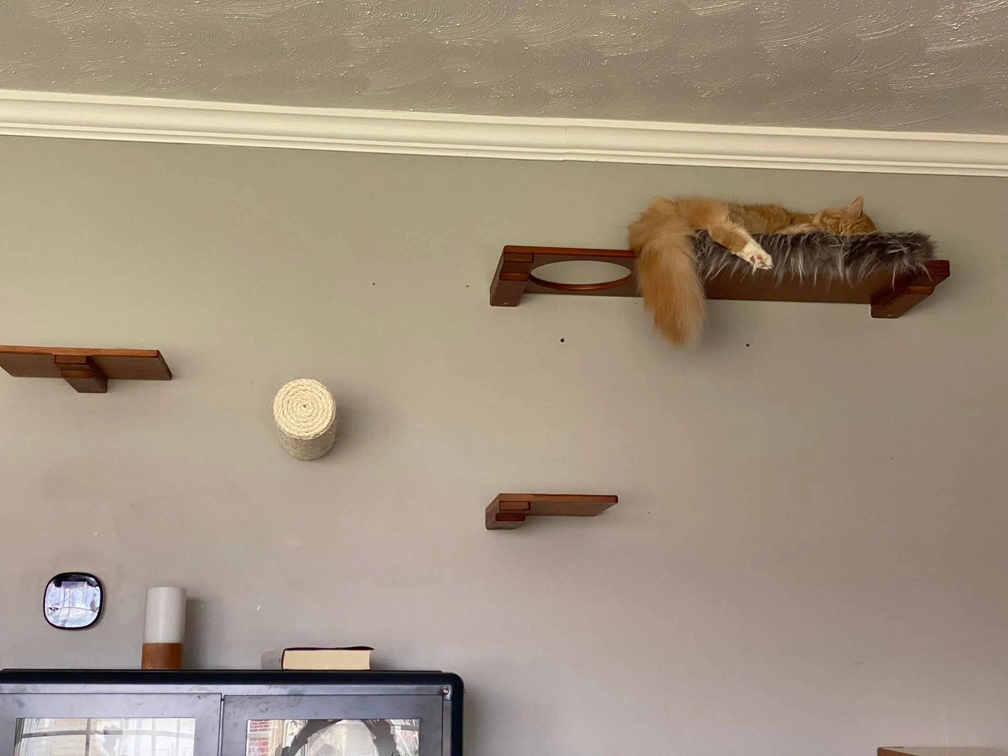 The Cat Wall