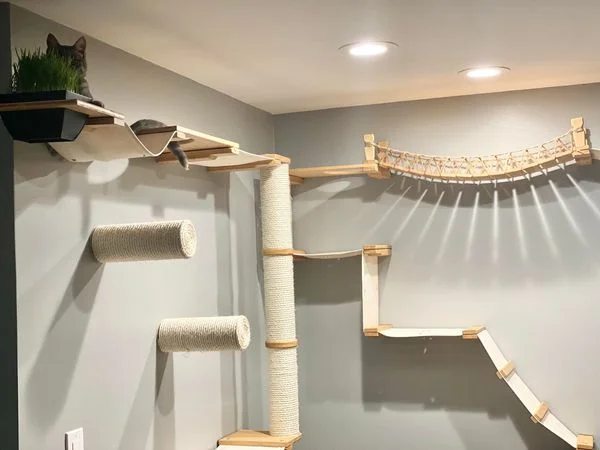 Cat Furniture