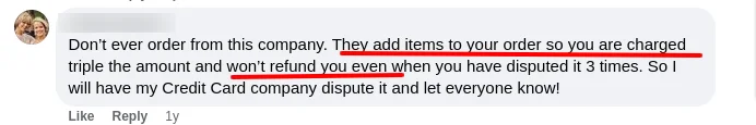 Ryabe Facebook Review 6