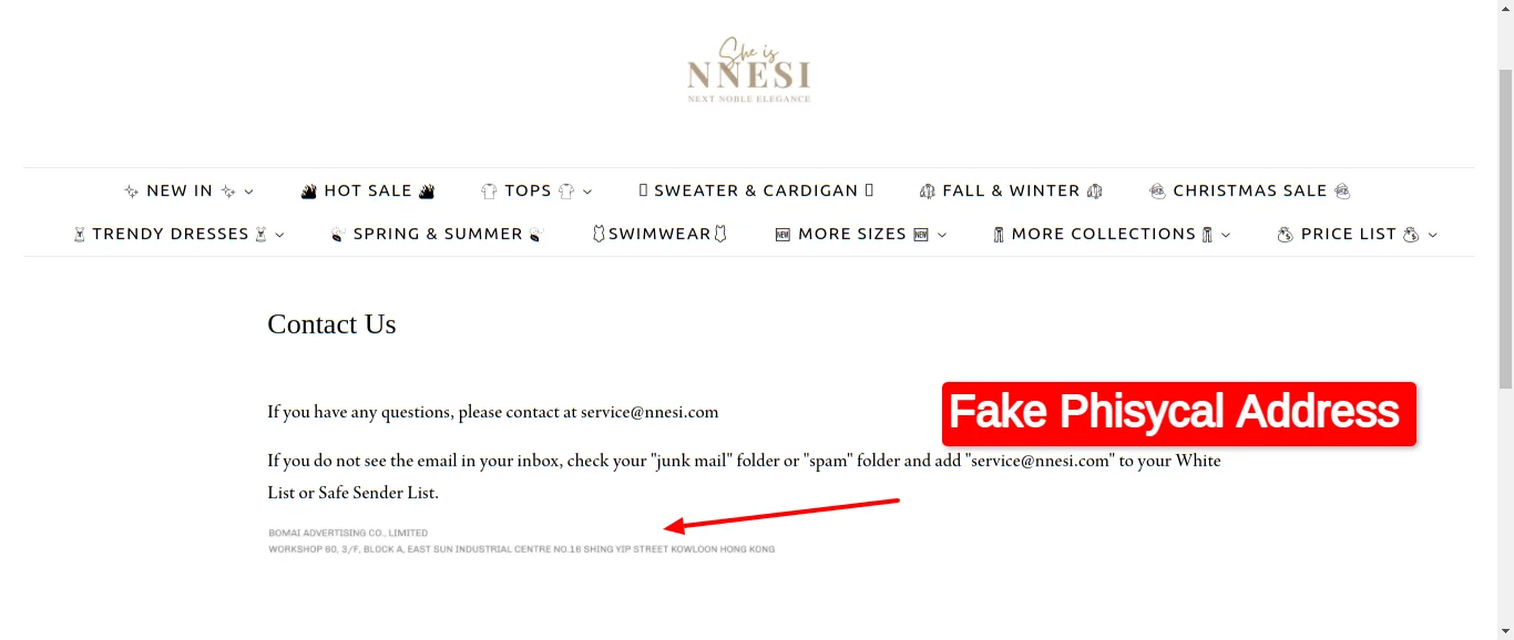 Nnesi Contact Us