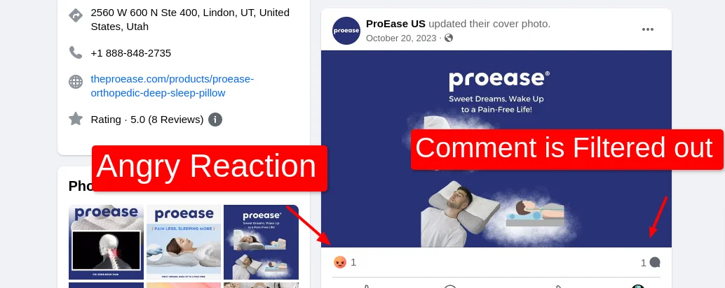 Facebook Proease